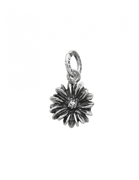 RASPINI - CHARM MARGHERITA - 06559