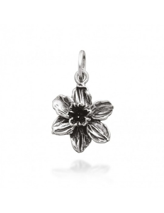 RASPINI - CHARM NARCISO - 07759