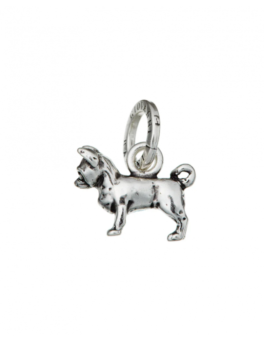 RASPINI - CHARM CHIHUAHUA - 10400