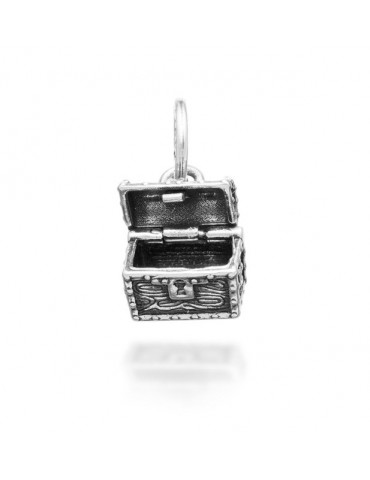 RASPINI - CHARM FORZIERE APRIMI - 11179