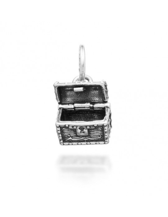 RASPINI - CHARM FORZIERE APRIMI - 11179